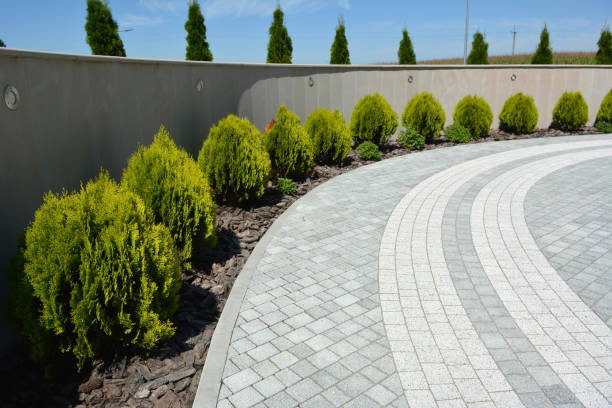 Professional Driveway Pavers in Alamogordo, NM